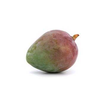 Mango Kent