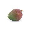Mango Kent Mango Kent