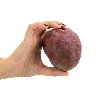 Mango Kent