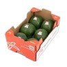 Aguacate Reed Aguacate Reed