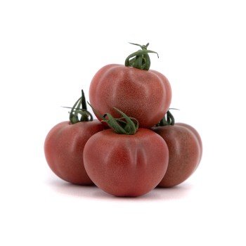 Tomate TomViolet