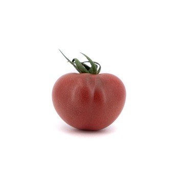 Tomate TomViolet