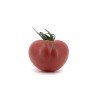 Tomate TomViolet Tomate TomViolet