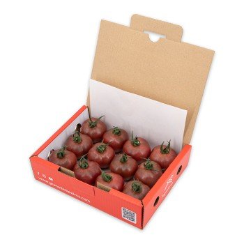Tomate TomViolet