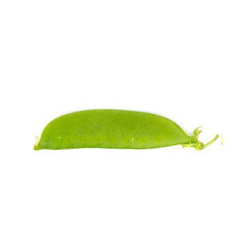 Tirabeque
