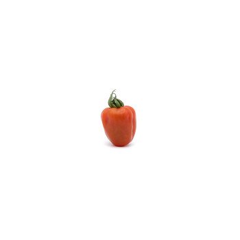 Tomate Wabi Sabi Solo