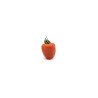 Tomate Wabi Sabi Solo Tomate Wabi Sabi Solo