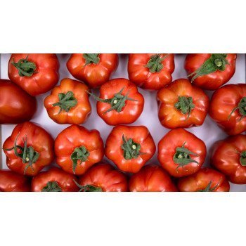Tomate Wabi Sabi Detalle