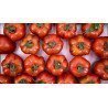 Tomate Wabi Sabi Detalle Tomate Wabi Sabi Detalle