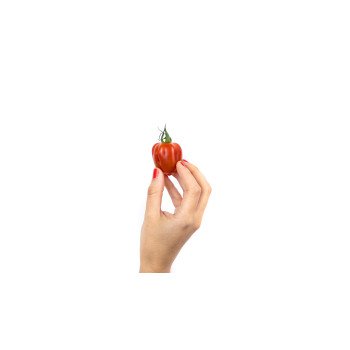 Tomate Wabi Sabi Mano