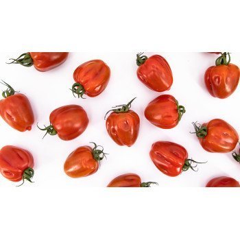 Tomate Wabi Sabi Muchos