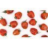 Tomate Wabi Sabi Muchos Tomate Wabi Sabi Muchos