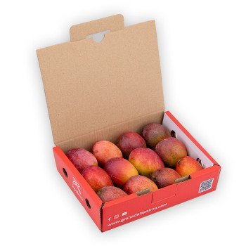 Mini Mango Irwin en Caja
