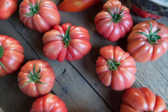 Tomate monterosa 540x359