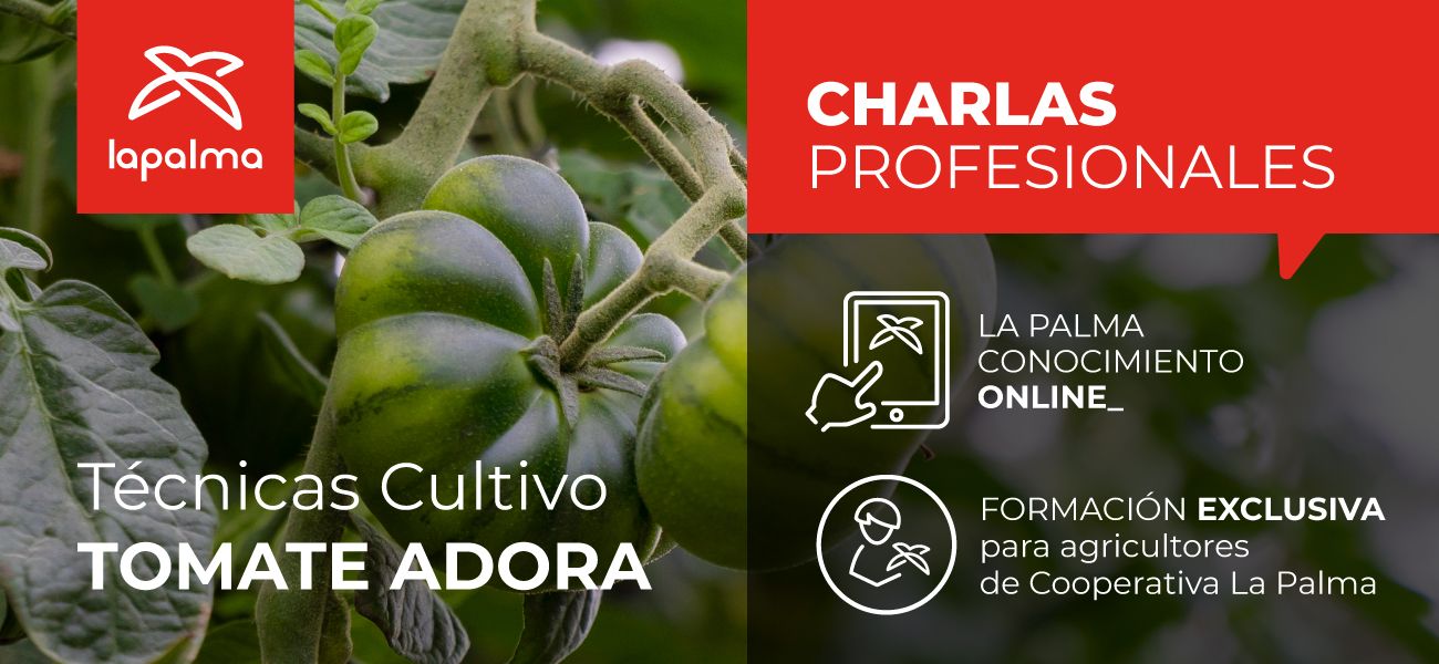 Banner Charlas Profesionales - Técnicas Cultivo Tomate Adora